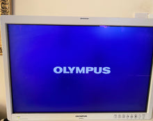 गैलरी व्यूवर में इमेज लोड करें, Olympus HD Monitor OEV262H and adaptor
